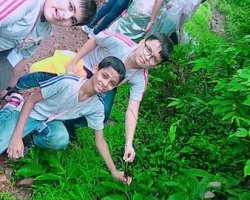 Std VI Field Trip - Sanjay Gandhi national Park